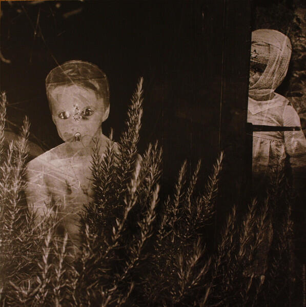 CocoRosie - Tales Of A Grasswidow